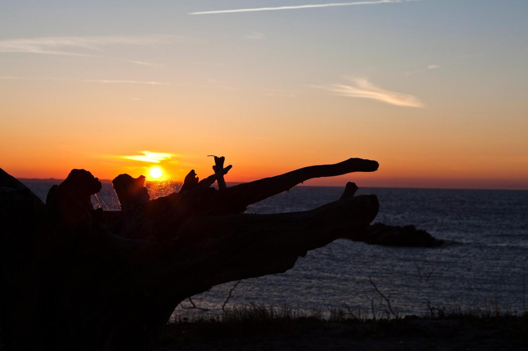Am Ostseegarten Otel Lohme Dış mekan fotoğraf